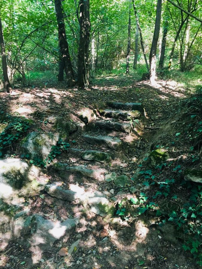 Villa Bacchetta - Forest View Оледжо-Кастелло Экстерьер фото